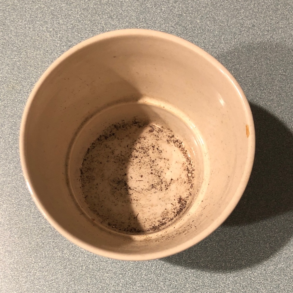 Simple Cream Ceramic Plant Pot - Picture 2 of 7